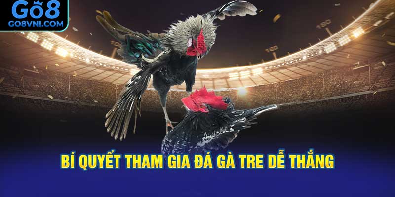 Bí Quyết Tham Gia Đá Gà Tre Dễ Thắng Tại GO8