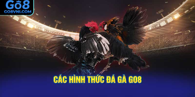 Các Hình Thức Đá Gà GO8