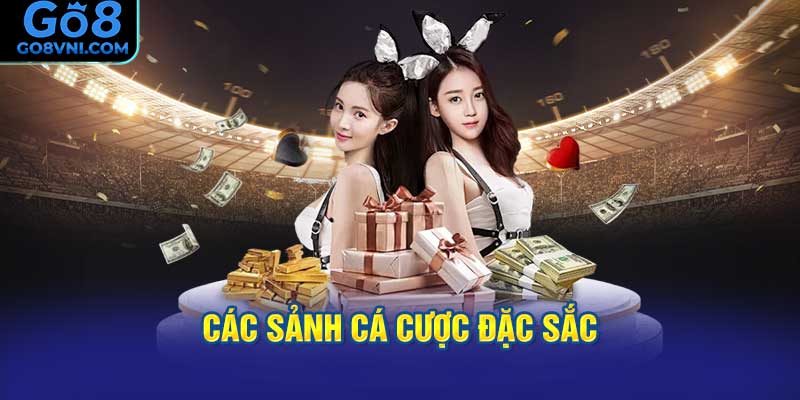 Các Sảnh Cá Cược Đặc Sắc Với Đa Dạng