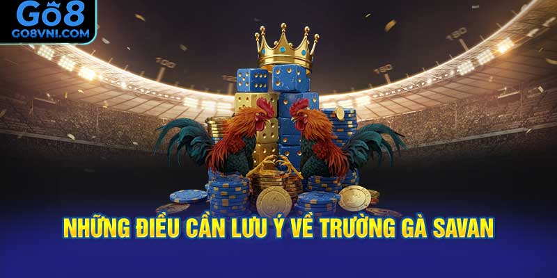 Những điều cần lưu ý về trường gà Savan