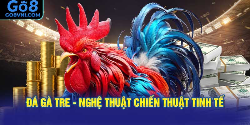 Đá Gà Tre - Nghệ Thuật Chiến Thuật Tinh Tế